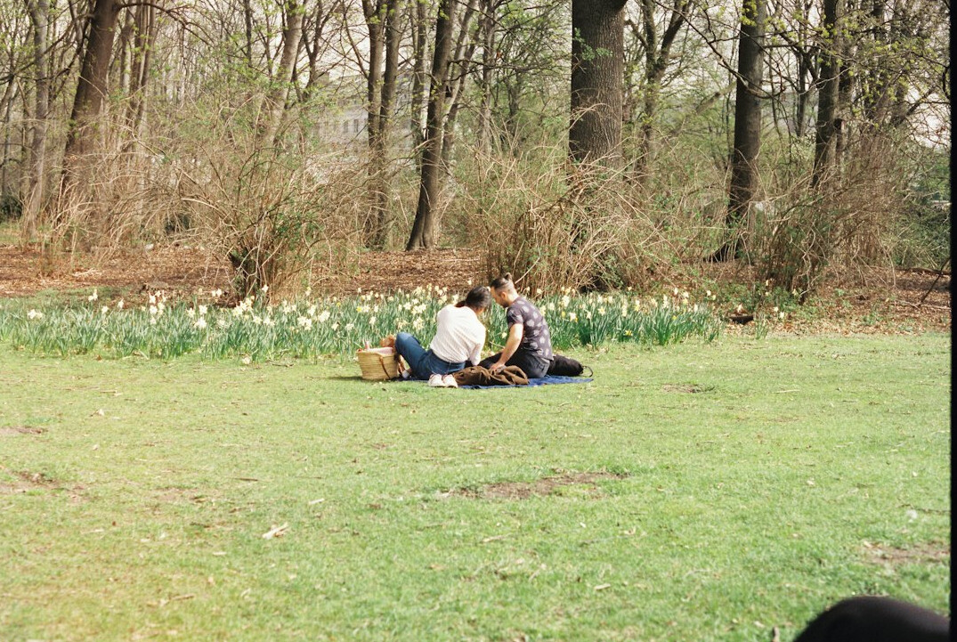 seniors enjoying outdoor picnic
